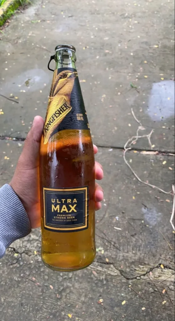 Kingfisher Ultra Max Price